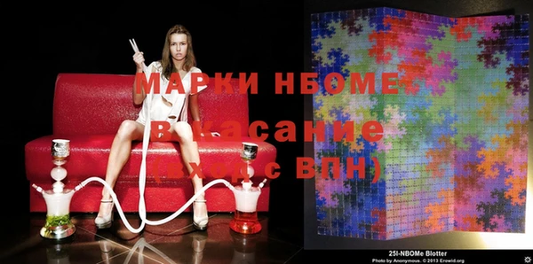 прущие грибы Алексеевка