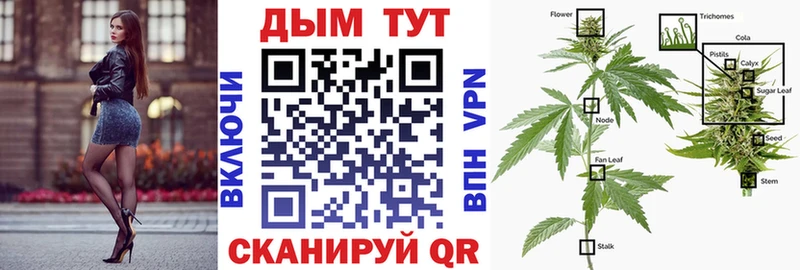 Шишки марихуана OG Kush  Берёзовка 